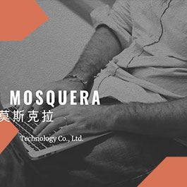 Web Mosquera
